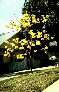 205650_527434502894_733386_n